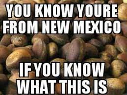 Pinon I Remember As A Little Girl When We Would Go Up In The Mountains To Pick Our Pinons Travel New Mexico New Mexico New Mexico Usa