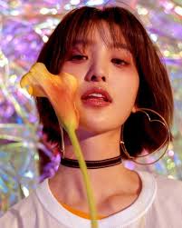 Account Suspended Kpop Short Hair Short Hair Styles Exid Junghwa