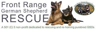 These german shepherd puppies located in colorado come from different cities, including, pueblo, littleton. Welcome