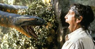 Snakes live in almost every corner of the world. The 14 Best Snake Movie Moments Ever