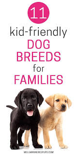 Top 11 Best Dog Breeds For Kids And Families Well Mannered Pups Family Friendly Dogs Friendly Dog Breeds Child Friendly Dogs