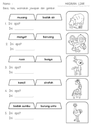 Jika burung lovebird diberi makanan yang bergizi, pastinya tanpa disuruh pun dia akan gacor dan ngekek panjang. Vidthia Vidthia6292 Profile Pinterest