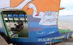 Pinang sudah sangat populer di indonesia karena memang jenis buah ini sangat mudah ditemukan. Deefqm16fenjm