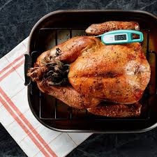 You Re Probably Using Your Meat Thermometer Wrong Meat Thermometers Turkey Roasting Seasoning