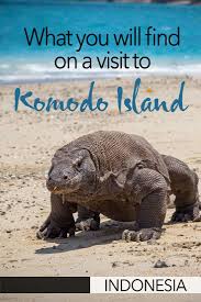 Visiting Indonesia S Komodo Island Is A True Adventure It S Here That You Ll Come Face To Face With One Of The Worl Komodo Island Komodo Traveling By Yourself