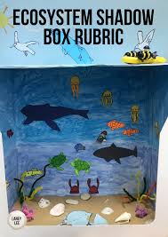 Biome Or Ecosystem Shadow Box Rubric Biomes Ecosystems Shadow Box