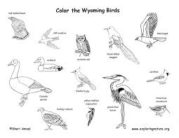 Fish and wildlife service are full of fascinating animals and landscapes. Wyoming Habitats Mammals Birds Amphibians Reptiles