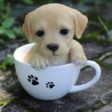 Animals Nature Cute Love Photooftheday Pet Photography Adorable Beautiful Art Wildlife Like Animal Cute Baby Dogs Cute Animal Pictures Cute Animals