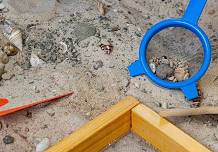 Science Surprises: Fossils
