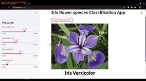 Sexual reproduction in flowering plants mbd alchemie presents a 2d video for biology which is appropriate for grade 10. Beginner S Guide To Making An Interactive Iris Flower Classification App Using Streamlit By Jalal Mansoori Towards Data Science