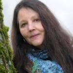 The Porcelain Moon: A Novel of France, the Great War, and Forbidden Love by  Janie Chang