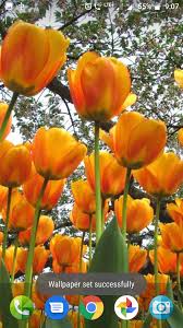 Colourful Flower Hd Wallpaper For Android Apk Download