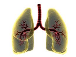 Survival depends on many different factors. How Long Can Lung Cancer Go Untreated Lung Cancer Pintas Mullins Law Firm
