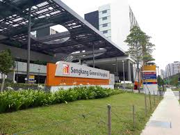 The resident had heard cries of help and when he went down, found mr. Punggol Murder Suspect Allegedly Brought Knife To Run Mum Claims He Has Mental Illness