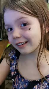 Knowledge to teach kids about harmless spiders