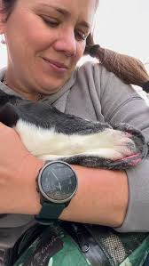 2024 is the year of remembering how amazing you and your dogs are 🐾🧡 So  grateful for all of you and so so excited for what's to come this year.  What are