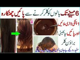 In 2 Hours Get Natural Brown Hair For 6 Months Brown Hair Color Dye Hh Bt Youtube Natural Brown Hair Brown Hair Dye Hair Dye Colors