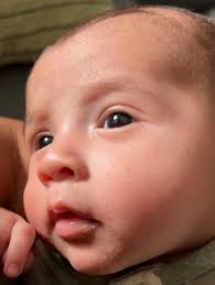 watch ceo wants my little rascal