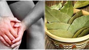 Daun salam mengandung antioksidan dan senyawa organik berupa fitonutrien, katekin, linalool, dan parthenolide, dapat membantu melindungi. 12 Manfaat Daun Salam Minum Air Rebusannya Bisa Turunkan Hipertensi Hingga Asam Urat Tribun Manado