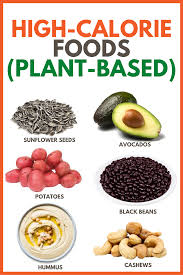 Choose foods that are high in fiber like vegetables, whole fruits, and root vegetables if you really want to pack your plate high. High Calorie Plant Based Food Plant Based And Broke