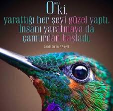 Dert Etme Dua Et Adli Kullanicinin Kur An I Kerim Sozleri Panosundaki Pin Dualar Islam Inanc Sozleri