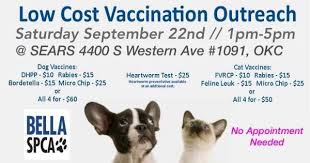 When people want to buy a dog or buy a puppy from a breeder or pet store, more and more people are first searching their local animal shelter or purebred rescue. Facebook