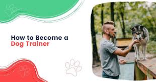 Check spelling or type a new query. How To Become A Dog Trainer I Love Veterinary
