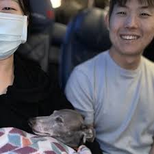 K9 COMFORT INFLIGHT TRAINING AND TRAVEL