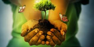 Resultado de imagen de imagenes de conservación del medio ambiente