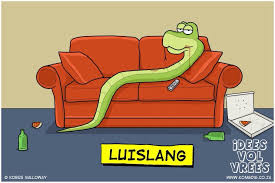 Luislang Afrikaans Humor Afrikaans Quotes