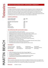 Student Entry Level Telesales Resume Template