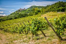 Albana, produced with the grape variety of the same name, is the most represented wine in romagna aside from sangiovese. Our Featured Emilia Romagna Wineries Wine And Travel Italy