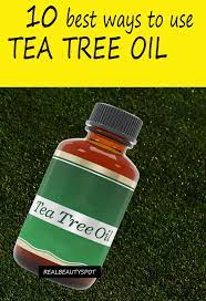 10 Best Ways To Use Tea Tree Oil For Home And Beauty Theindianspot Tea Tree Oil For Acne Tea Tree Oil Essential Oils Herbs