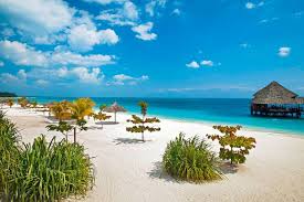 Занзибар) и знаменитые природные парки африки: Zanzibar Otdyh Tury Iz Novosibirska Tanzaniya Otdyh