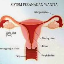Cepat rasa penat kalau buat kerja. Wanita Wajib Baca Ni 9 Tanda Rahim Tak Sihat Jangan Biar Sampai Peranakan Jatuh