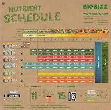 biobizz feeding chart pro results how to get them