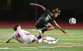 Prep sports: Spring all-league selections