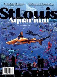St Louis Magazine December 2019 By St Louis Magazine Issuu