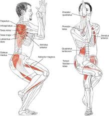 Yoga Garudasana Eagle Pose Benefits 1 Strengthens And Stretches The Ankles And Calves 2 Stretches Poses De Ioga Treinos De Ioga Exercicios De Yoga
