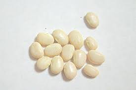 Image result for Phaseolus lunatus