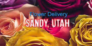 Run a search by name for anyone in sandy, utah & get free white pages information instantly. The 8 Best Options For Flower Delivery In Sandy Utah 2021