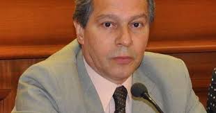 Image result for Bergia salaria