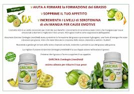 La dopamina è una molecola biologica prodotta dall'organismo a livello encefalico. Caffe Verde In Capsule Dove Si Compra Controindicazioni E Proprieta