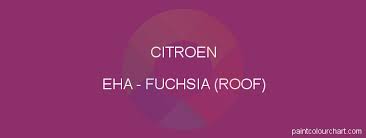 Image result for Fuchsia 2011 Citroen