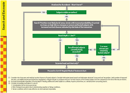 Wilderness Medical Society Clinical Practice Guidelines for Prevention and  Management of Avalanche and Nonavalanche Snow Burial Accidents: 2024 Update 