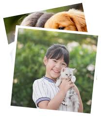 At 1st pet veterinary centers, you will find everything you need to ensure your furry friend's wellness. Veterinarian In Golden Co Mesa Veterinary Hospital