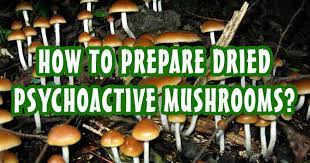 How To Prepare Dried Psychoactive Mushrooms Sociedelic Stuffed Mushrooms Mushroom Tea Fresh Mushrooms