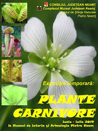 Check spelling or type a new query. Plante Carnivore ExpoziÈie TemporarÄ