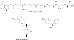 It also remains unknown how this dna has flowed between this phage and animals. Argiope An Overview Sciencedirect Topics