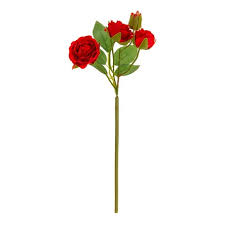We did not find results for: 20 Squirrel Rose Bouquet Red Artificial Flower Flower Rose Bouquet Import Japanese Products At Wholesale Prices Super Delivery